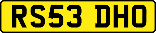 RS53DHO