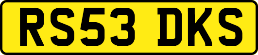 RS53DKS