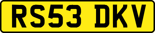 RS53DKV