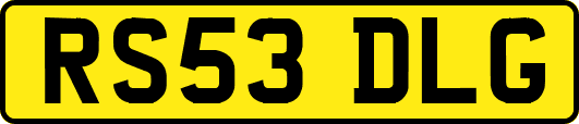 RS53DLG
