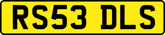 RS53DLS