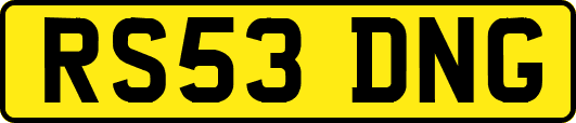 RS53DNG