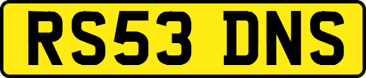 RS53DNS