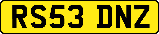 RS53DNZ