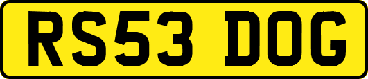 RS53DOG