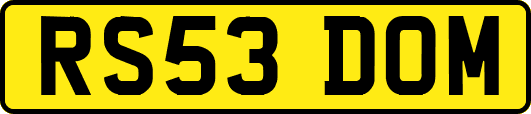 RS53DOM