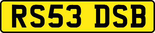RS53DSB