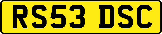 RS53DSC