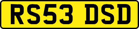 RS53DSD