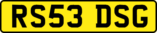 RS53DSG