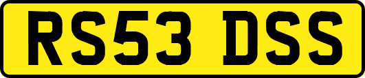 RS53DSS