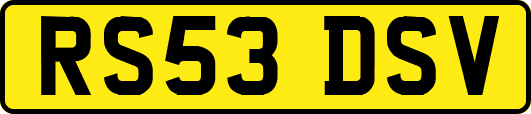 RS53DSV