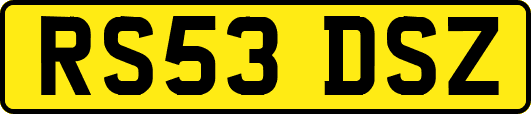RS53DSZ