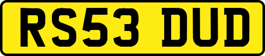 RS53DUD