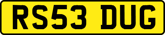 RS53DUG