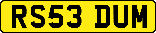 RS53DUM