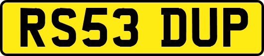 RS53DUP