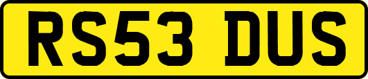 RS53DUS