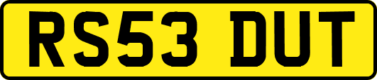 RS53DUT