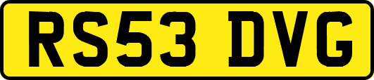 RS53DVG