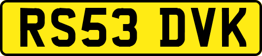 RS53DVK