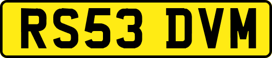 RS53DVM