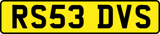 RS53DVS