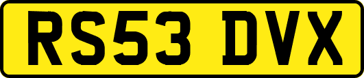 RS53DVX
