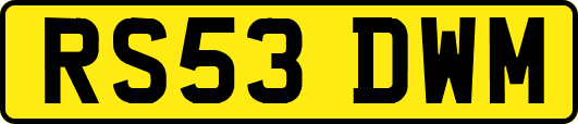 RS53DWM
