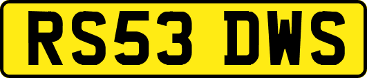 RS53DWS