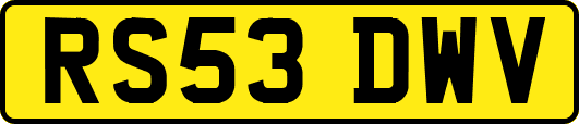 RS53DWV