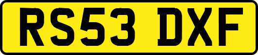 RS53DXF