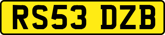 RS53DZB