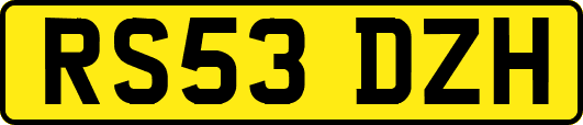 RS53DZH