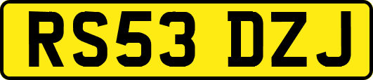 RS53DZJ