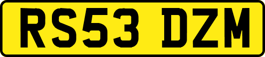 RS53DZM