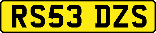 RS53DZS