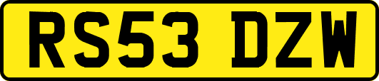 RS53DZW