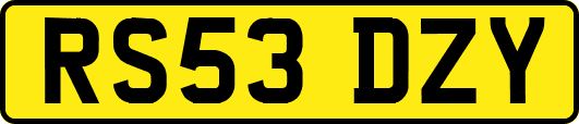 RS53DZY