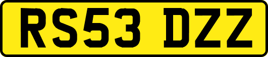 RS53DZZ