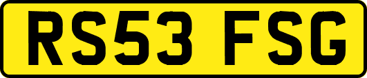 RS53FSG