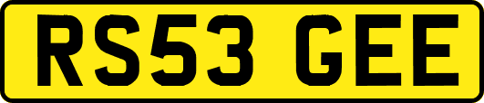 RS53GEE