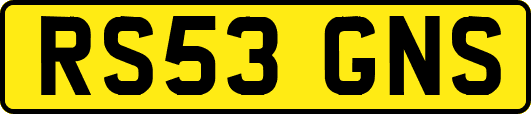 RS53GNS