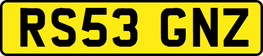 RS53GNZ