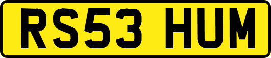 RS53HUM