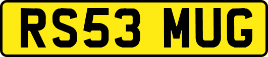 RS53MUG