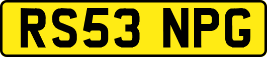 RS53NPG
