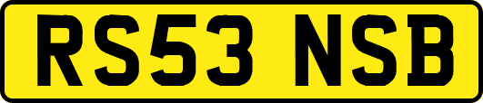 RS53NSB