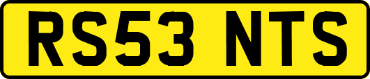RS53NTS