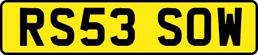 RS53SOW